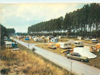 CPSM FRANCE 49 "Chalonnes sur Loire, le camping au bord de la Loire "