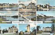 49 Maine Et Loire / CPSM FRANCE 49 "Chalonnes sur Loire "