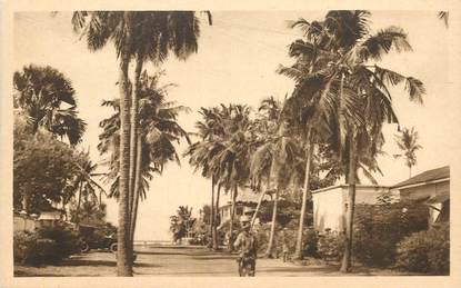 CPA BÉNIN "Cotonou, une avenue bordée de cocotiers"/ N° 37