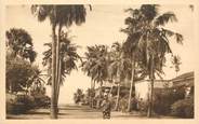 Afrique CPA BÉNIN "Cotonou, une avenue bordée de cocotiers"/ N° 37