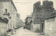 49 Maine Et Loire / CPA FRANCE 49 "Baugé, rue du Cygne"