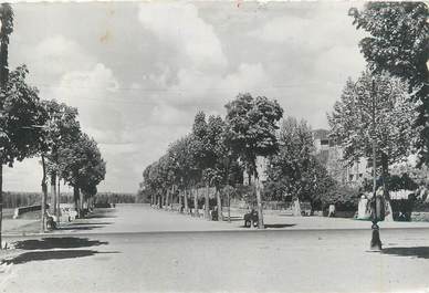 CPSM FRANCE 47 "Aiguillon, les allées de Strasbourg"