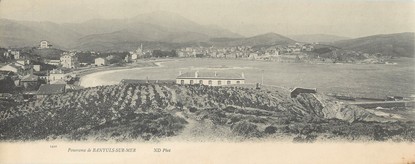 CPA PANORAMIQUE FRANCE 66 "Panorama de Banyuls sur Mer"