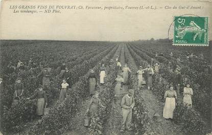 CPA FRANCE 37 "Vouvray, les vendanges"