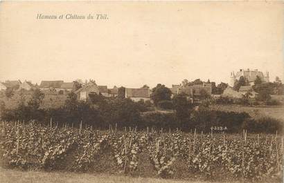 CPA FRANCE 71 "Hameau et Chateau du Thil"