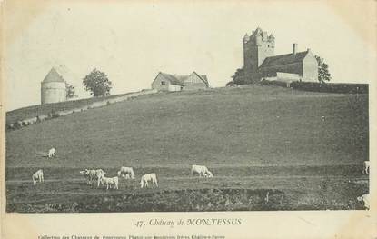 CPA FRANCE 71 "Chateau de Montessus"