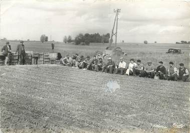 CPSM FRANCE 71 "Burgy, pépinières Letourneau"