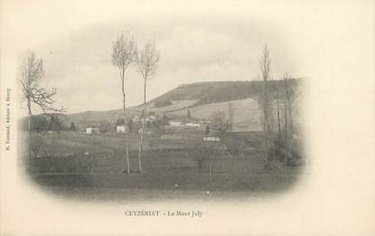 CPA FRANCE 01 "Ceyzériat, le mont July"