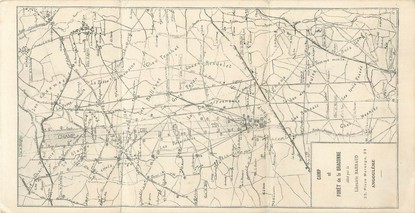 CPA PANORAMIQUE FRANCE 16 "Angoulême, cam et forêt de la Braconne"