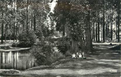 CPSM FRANCE 55 "Haironville, le Paquis et la Saulx"