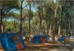 CPSM ITALIE "San Vincenzo" / CAMPING