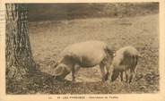 65 Haute PyrÉnÉe CPA FRANCE 65 "Les Pyrénées, chercheurs de truffes" / TRUFFES