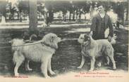 65 Haute PyrÉnÉe CPA FRANCE 65 "Les Pyrénées, chiens des Pyrénées, deux rivaux"