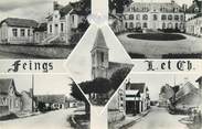 41 Loir Et Cher CPSM FRANCE 41 " Feings "