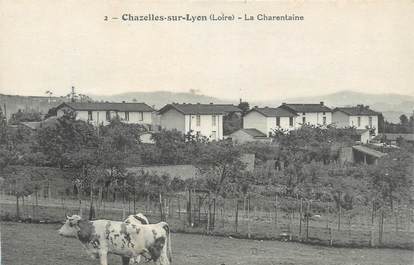 CPA FRANCE 42 " Chazelles sur Lyon "