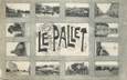 CPA FRANCE 44 " Le Pallet "