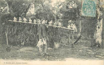 CPA FRANCE 40 "Landes, chasseurs de Palombes"