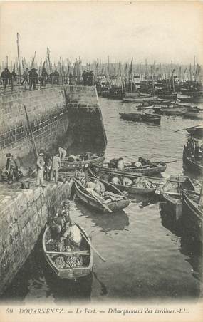 CPA FRANCE 29 "Douarnenez, le port" / PECHE