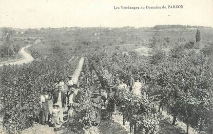 CPA FRANCE 33 "Les vendanges au domaine de Parzon"