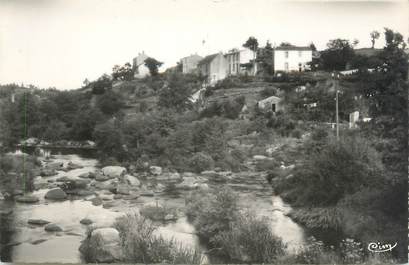 CPSM FRANCE 85 "Mortagne sur Sèvre, la Sèvre à Rochard"