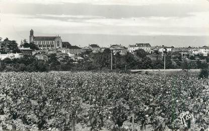 CPSM FRANCE 85 "Saint Georges de Montaigu, vue panoramique"