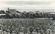 85 Vendee CPSM FRANCE 85 "Saint Georges de Montaigu, vue panoramique"