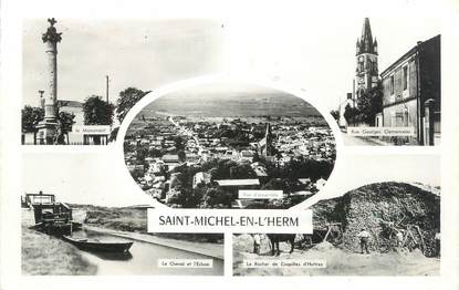 CPSM FRANCE 85 "Saint Michel en Lherm"