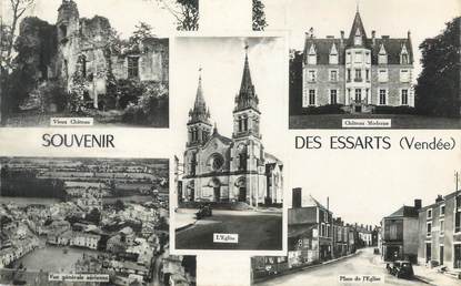 CPSM FRANCE 85 "Les Essarts"