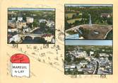 85 Vendee CPSM FRANCE 85 "Mareuil sur Lay"