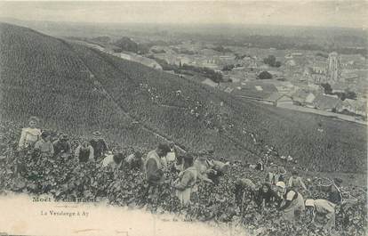 CPA FRANCE 51 "Les vendanges à Ay"