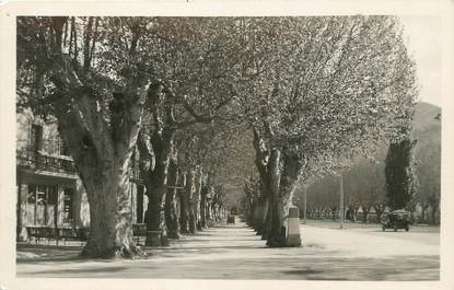 / CPSM FRANCE 26 "Buis les Baronnies, allée des platanes"