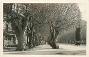 26 DrÔme / CPSM FRANCE 26 "Buis les Baronnies, allée des platanes"