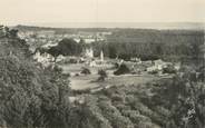 91 Essonne CPSM FRANCE 91 "Bligny, Fontenay Village vue de Despeaux"