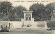 91 Essonne CPA FRANCE 91 "Montgeron, le monument aux morts"