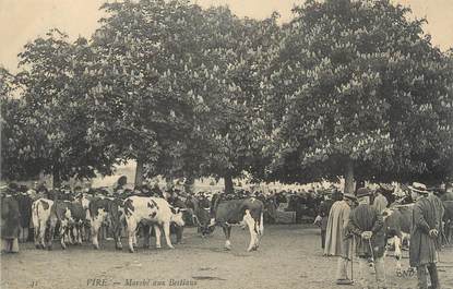 CPA FRANCE 14 "Vire, marché aux Bestiaux"