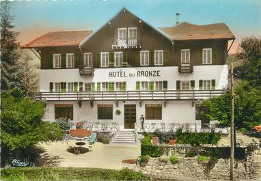 CPSM FRANCE 74 "Mont Savonnex, l'hôtel du Bronze"