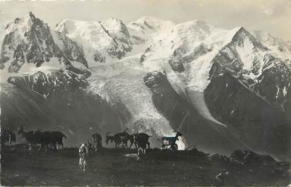 / CPSM FRANCE 74 "Le Massif du mont Blanc" / CHEVRE