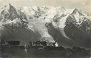 74 Haute Savoie / CPSM FRANCE 74 "Le Massif du mont Blanc" / CHEVRE