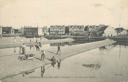 CPA FRANCE 14 "Courseulles sur Mer, le parc aux huitres"