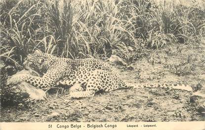 CPA CONGO BELGE "Léopard"