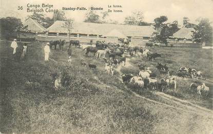 CPA CONGO BELGE "Stanley Falls, la ferme"