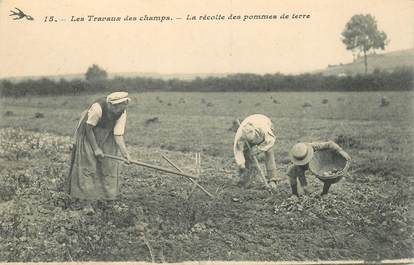 CPA AGRICULTURE "La récolte des pommes de terre"