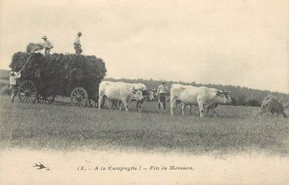 CPA AGRICULTURE "La Moisson"