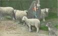 CPA AGRICULTURE "Gardeuse de moutons"
