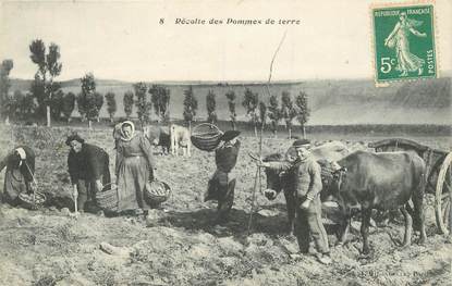 CPA AGRICULTURE "Récolte de pommes de terre"