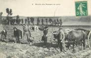 Theme CPA AGRICULTURE "Récolte de pommes de terre"