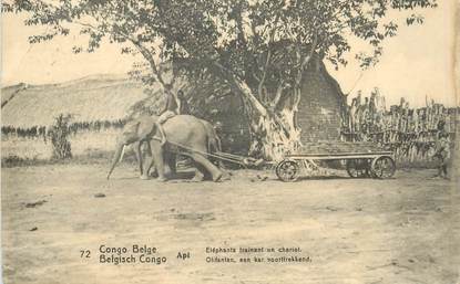 CPA CONGO BELGE "Eléphants trainant un chariot"