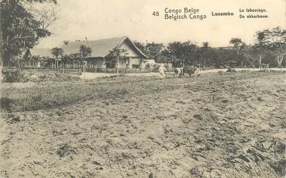 CPA CONGO BELGE "Lusambo"