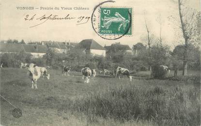 CPA FRANCE 21 "Vonges, prairies du vieux château"