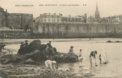 / CPA FRANCE 35 "Saint Malo, la mare aux canetons"